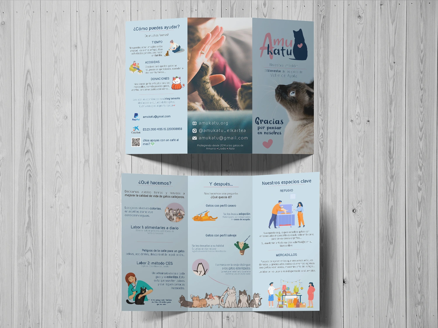 Flyer for a cat shelter